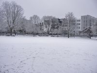 a snow scene in a city park in the winter and a snowy tree line is in the background