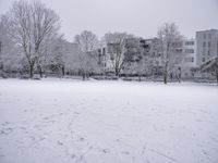 a snow scene in a city park in the winter and a snowy tree line is in the background