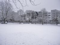 a snow scene in a city park in the winter and a snowy tree line is in the background