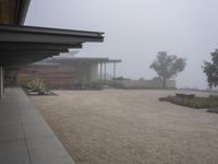 Grey Sky in Los Angeles: Dawn Landscape View