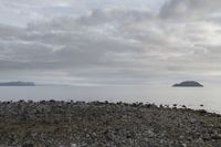 a rocky plain with boulders and water in the distance, with a cloudy sky above the ocean