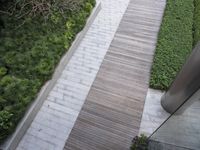 Urban Garden Walkway in Guangdong