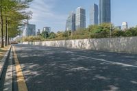 a quiet road in an area with high buildings in the background and many trees growing