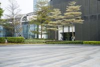 an outdoor area with trees and people on bikes near large buildings and lawns with plants and trees