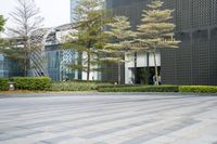 an outdoor area with trees and people on bikes near large buildings and lawns with plants and trees