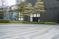 an outdoor area with trees and people on bikes near large buildings and lawns with plants and trees