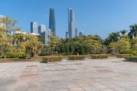 a small park with many trees in front of city buildings that are towering over the horizon