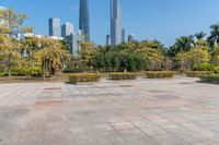 a small park with many trees in front of city buildings that are towering over the horizon