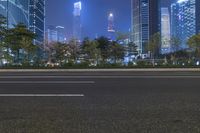 Guangzhou Night Cityscape: A Metropolis in Asia