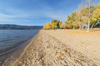 the beach is lined with small trees and sand by the water's edge are yellow, fall colors