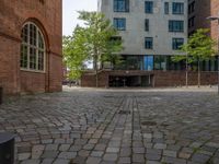 Hamburg, Deutschland: City Life on Cobblestone Streets