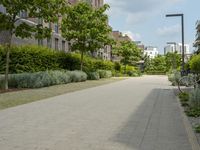 a small street with an empty bike path next to tall buildings and trees and bushes