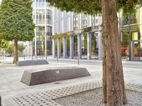 a concrete block is sitting under the tree in a courtyard area surrounded by some buildings