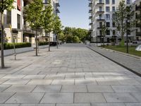 the empty path to the buildings near the street with benches on it, in front of a tree and some grass