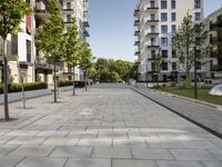 the empty path to the buildings near the street with benches on it, in front of a tree and some grass