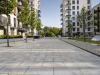 the empty path to the buildings near the street with benches on it, in front of a tree and some grass