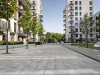 the empty path to the buildings near the street with benches on it, in front of a tree and some grass