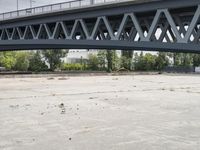 a black and white dog is running on the cement street under a bridge that has a train going over it