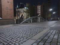 two people walking across a brick walkway in front of a cathedral at night with their bike