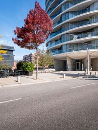 Hamburg: Modern Architecture on Asphalt Road