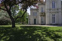 a small tree stands in front of a big, old - fashioned mansion that's seen through a window