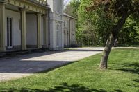 a man in white shirt next to tree and building area on grass covered area next to walkway