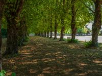 Hard Shadows in a Residential Suburb on a Sunny Day