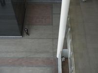 Heathrow Airport Interior: Architecture in the UK