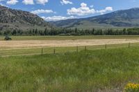 an open field with green grass and mountains in the background with some small yellow flowers