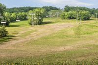 High Green Grass Field in Toronto, Canada