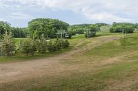 High Green Grass Field in Toronto, Canada