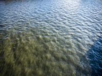 a boat sails past the shore and on the other side of a body of water