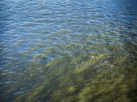 a boat sails past the shore and on the other side of a body of water