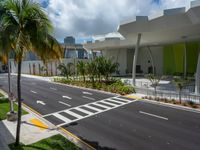 High Position in Miami: Crosswalk with Palm Trees