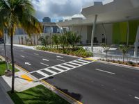 High Position in Miami: Crosswalk with Palm Trees