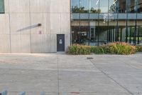 a woman riding a bike past an office building with windows and grass around it in front of a fire hydrant