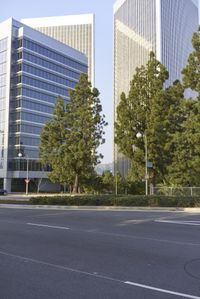 High-Rise Building in the Metropolitan Area of Los Angeles