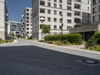 an empty street lined with tall buildings on both sides of the road and shrubs to side