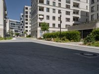 an empty street lined with tall buildings on both sides of the road and shrubs to side