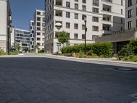 an empty street lined with tall buildings on both sides of the road and shrubs to side