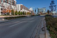 High-Rise Buildings and Tree-Lined Streets of Toronto