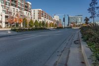 High-Rise Buildings and Tree-Lined Streets of Toronto