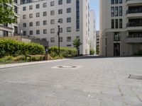 a paved sidewalk in front of two high rise building apartments, with trees in the distance