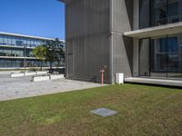 a grassy lawn in front of a building next to a large glass building and sidewalk