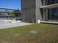 a grassy lawn in front of a building next to a large glass building and sidewalk