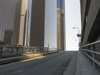 High-Rise Skyscrapers in a Metropolitan Area