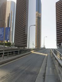 High-Rise Skyscrapers in a Metropolitan Area