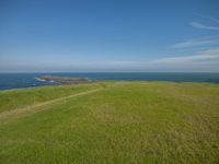 the grassy hill overlooks the ocean to the west of the island with one black dog