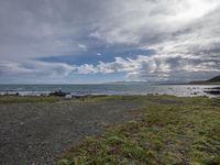 a black beach covered in green grass and water with rocks and green plants on the shore