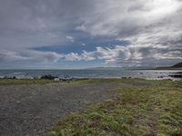 a black beach covered in green grass and water with rocks and green plants on the shore